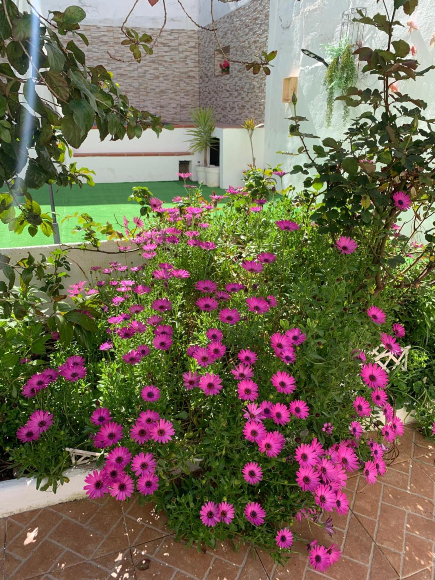 Casa Dos Tios Estremoz-Veiros Villa Dış mekan fotoğraf