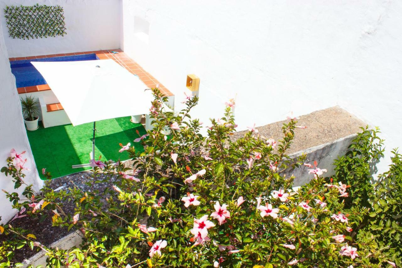 Casa Dos Tios Estremoz-Veiros Villa Dış mekan fotoğraf